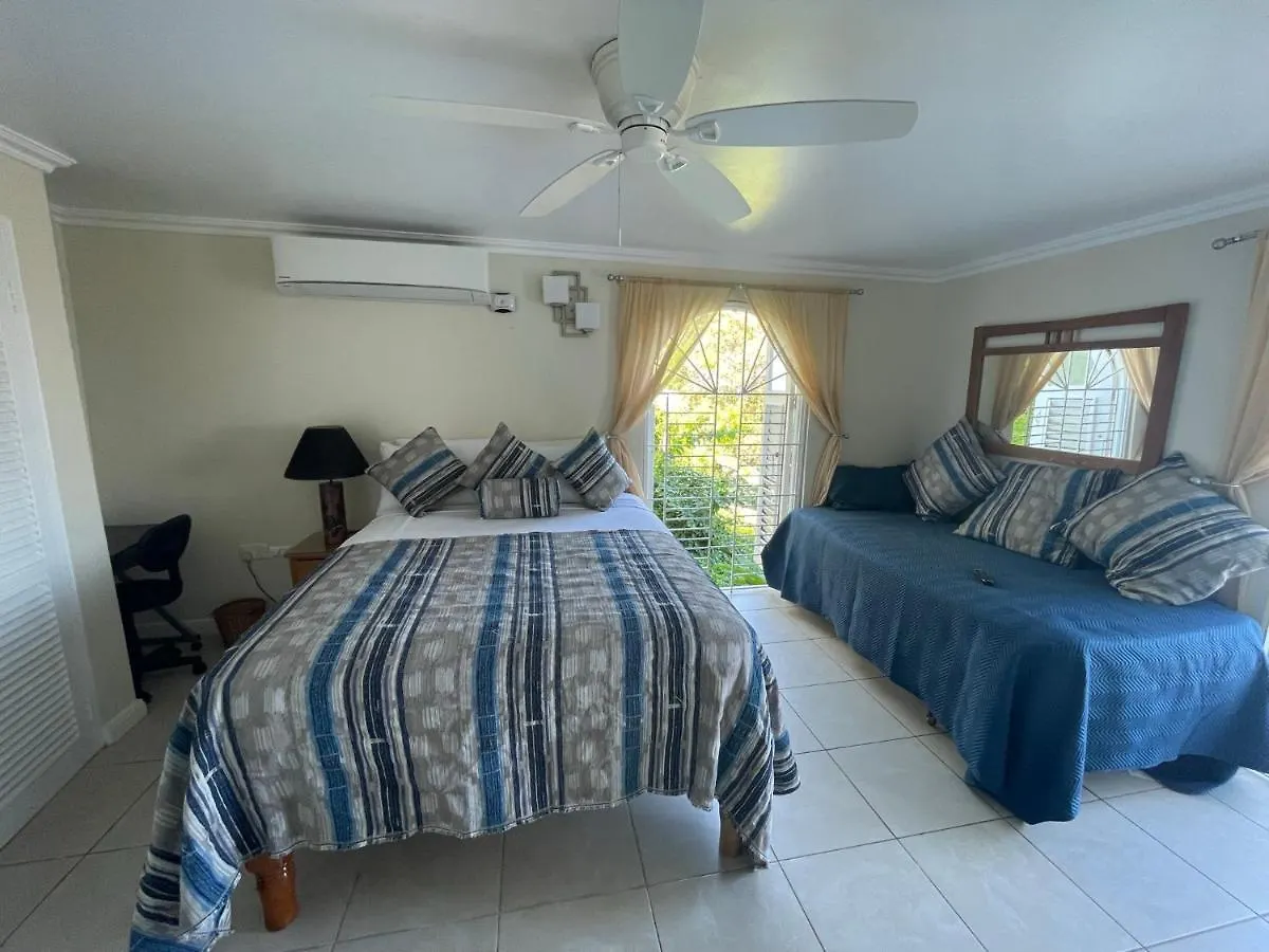 Hummingbird Retreat - Luxury Oceanview Apt, 7-Minute Walk To Beach Ocho Rios 0*,  Jamaica
